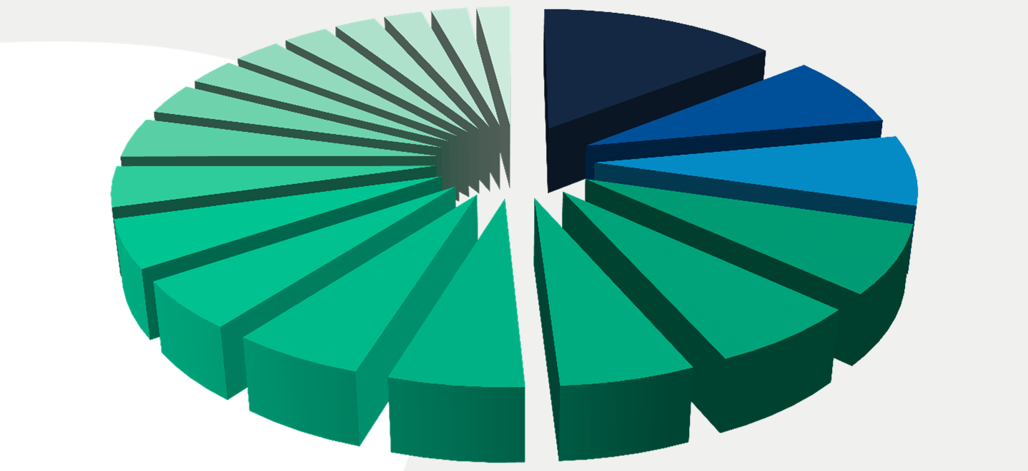 NORDWIND 5,5% TRANSAERO 5,3% TUI FLY 3,0% UTAIR 3,6% CORENDON 3,6% CONDOR 5,1% AIR BERLIN 4,0% ONUR