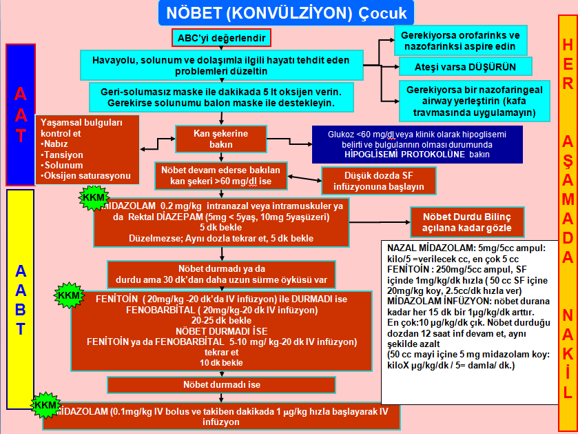 o Nöbet durmadı ya da 30 dk dan uzun sürmüşse Fenitoin (infüzyonla 20 dk da) uygulanır. o Nöbet durmadı ise Fenobarbital (infüzyonla 20 dk da) verilir. 20 25 dk beklenir.