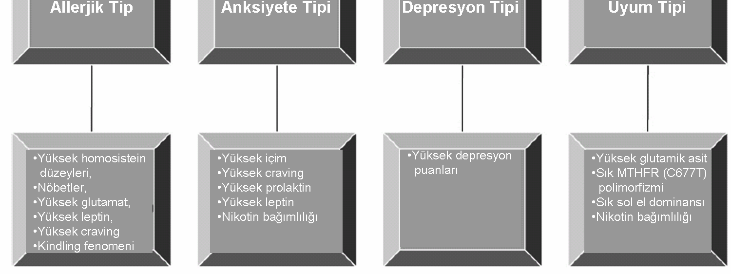 tanımlamışlardır: Genç yetişkin tip, alkoliklerin yaklaşık %32 sini oluşturur. En yaygın grubu teşkil ederler. Nadiren tedavi için yardım ararlar.