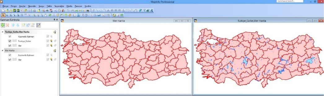 1.2.3. Verileri Görüntüleme: Verisayfası Penceresi Verilerimizi veritabanındaki gibi yazı olarak görmek istediğimizde verisayfası penceresini kullanırız.