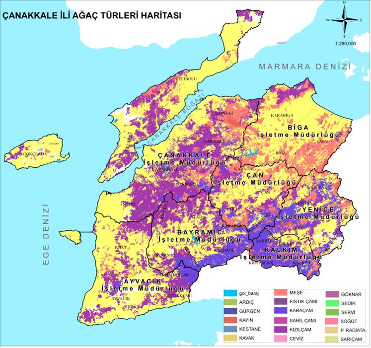 Uzunköprü 14.316,3 9.600,5 23.916,8 141.001,4 164.918,2 TOPLAM 90.860,7 61.999,5 152.860,2 667.291,0 820.151,2 YENİCE Asar 9.614,5 4.030,0 13.644,5 7.285,0 20.929,5 Pazarköy 7.496,5 7.763,5 15.