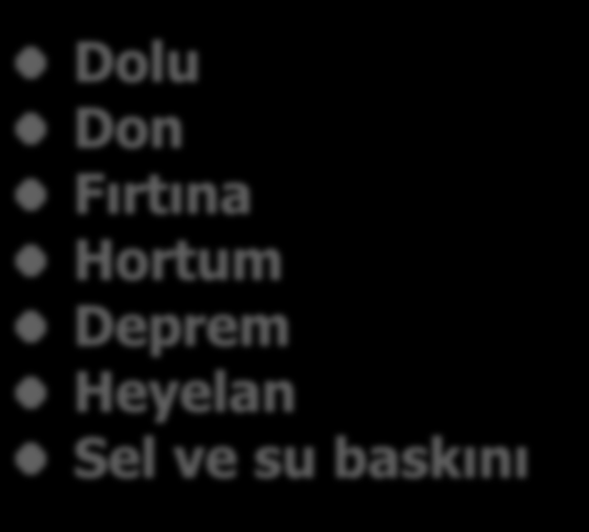 TARIMDA SIKÇA YAŞANAN DOĞAL AFET RİSKLERİ Katastrofik (Felaket Tarzında) Riskler Yönetilmesi Zor Riskler Kontrol Edilebilir Riskler Don