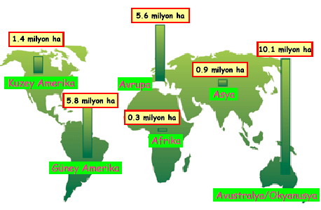 Şekil 1.1 : Dünyada kıtalara göre organik tarım alanlarının dağılımı (Atlı, 2005).