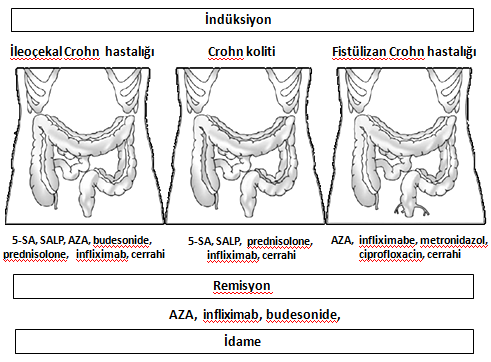 Şekil-1 Crohn hastalığının başlıca komplikasyonları fistül ve karın içi apseler, perianal Crohn hastalığı ve darlık gelişimidir. İnternal ve ekstrenal fistüller Crohn hastalarının %20-40 ında görülür.