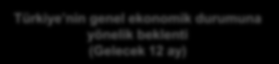 Türkiye nin genel ekonomik durumu Türkiye nin genel ekonomik durumuna yönelik değerlendirme (Geçtiğimiz 12 ay) Çok daha + biraz daha iyiye gitti Cinsiyet Yaş Eğitim SES Toplam Kadın Erkek 15-17 18-24