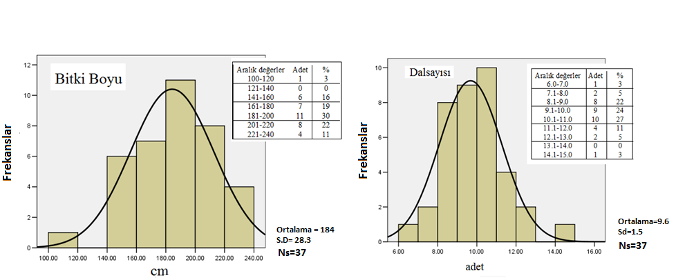 19 Çizelge 4,1.2. Toplanan rezene örneklerinin duraklara göre bitki boyu ve dal sayısının değişimlerine ait değerler Bitki boyu (cm) Dal sayısı (adet) Duraklar Ns Minimum Maksimum Ortalama S d.