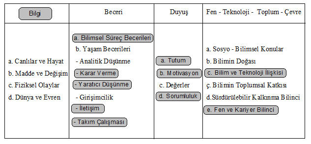 41 yönde bir opsiyon ekledikleri (Apedoe, Reynolds, Ellefson ve Schunn, 2008) belirtilmektedir.