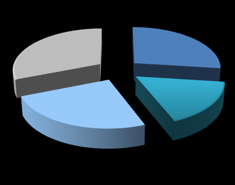 Segmentler - Homojen Satış ve FAVÖK katılımları 2013 III. Çeyrek Satışlar(%) 27% 25% 2013 III.