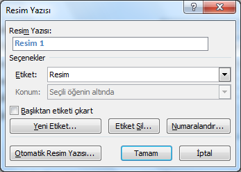 Halil İbrahim TÜRKOĞLU güncellenmez ancak Tabloyu Güncelleştir komutu ile güncelleştirme işlemi yapılabilir.