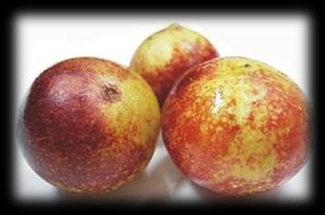 Kamu ( Camu camu )/ Bolivya Fiziksel ve kimyasal özellikleri Vitamin C ( mg ascorbic acid/100g) 1500 Total acidity as citric acid (g/100g) 2,50-2,70 ph 2,60 2,80 ºBrix (20ºC) 4,50 6,50