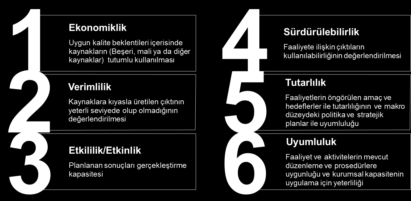 4.1.1. Performans Denetimi Unsurlarına Kısa Bakış Kamu idarelerinin yürüttükleri program, proje, süreç ve faaliyetlerin performans denetimlerinde temel alınacak altı unsur önerilmektedir.