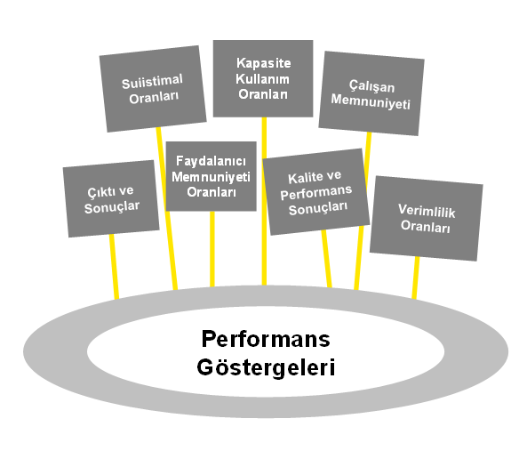 3.1.1. Performans Denetimine Yönelik Temel Varsayımlar Performans Denetimi, denetim kapsamında yer alan faaliyet, proje, program ve süreçlere göre değişkenlik gösteren bir yaklaşım gerektirir.