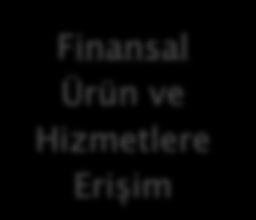 Finansal Tüketicinin Korunması Finansal Ürün ve