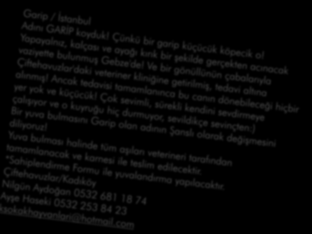 Her oda doludur ve her odaya girdiğimde mutlu kuyruklar kuyruklarını pat pat sallayarak "Günaydın anneciğim" derler. Hepsinin yatak çarşaflarını ve hasta bezlerini değiştirir, temizliklerini yaparım.