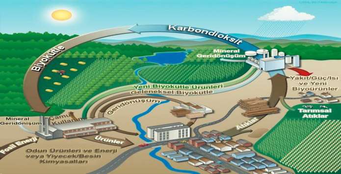 Şekil 1: Biyokütle Dönüşüm Süreçleri Kaynak: http://www.elektrikport.com/makale-detay/yesilden-gelen-enerji-biyokutle2 bolum/8571#ad-image-6, 2014, (Şekil İngilizceden Türkçeye çevrilmiştir.