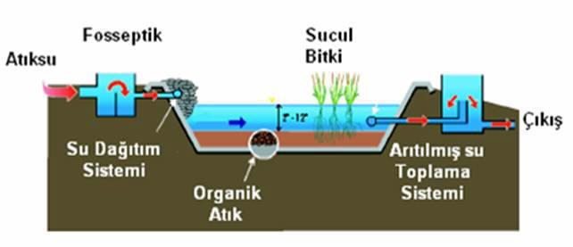 Tarımsal Sulama ve Arazi Islahı Koordinatörlüğü Görev ve Çalışmaları Tarımda suyun etkin kullanımı için uygun yöntem ve teknolojilerin geliştirilmesi Kuraklık ve iklim değişikliğine bağlı su stresi