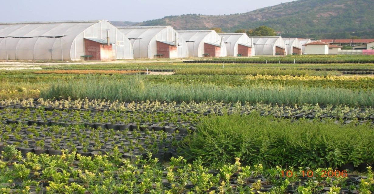 16 Eskişehir Gelişim Planı SEL EYLEM PLANI KAPSAMINDA 2013 YILINDA ÇALIŞILAN HAVZALAR Havza Adı Alanı (Ha)