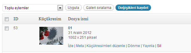 Düzenlemek istediğiniz galerinin içerisine girdiğinizde yukarıdaki ekrana benzer bir ekranla karşılaşacaksınız.