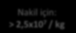 BİTMİŞ ÜRÜN (İŞLEM SONRASI DONDURMA ÖNCESİ) PARAMETRE METOD LİMİT KAYNAK CANLILIK Tripan Mavisi Acridine Orange Etihidium Bromide 7AAD ile Akım sitometri 85 % HÜCRE SAYISI Thoma Lamı Otomatize Kan