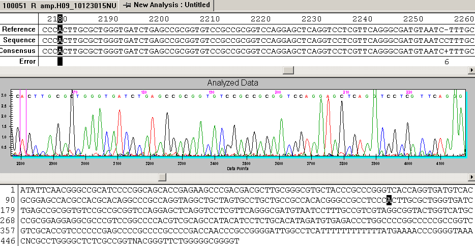 43 Şekil 4.28 AA02015 numaralı örneğin primer 1264 ile DNA dizi analizi sonucu Şekil 4.