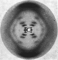 Sarmal yapıdan kırınım (Diffraction due to Helical Structure) Giriş Foto 51 olarak bilinen Roselind Franklin in laboratuvarında çekilmiş DNA nın X- ışını kırınım (diffraction) görüntüsü (Şekil 1),