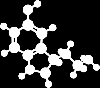 GİRİŞ Tarihsel Gelişimi Serotonin (5-hidroksitriptamin; 5-HT) başlangıçta düz kaslar üzerindeki etkisiyle tanımlanmış olan endojen bir biyolojik moleküldür. 19.