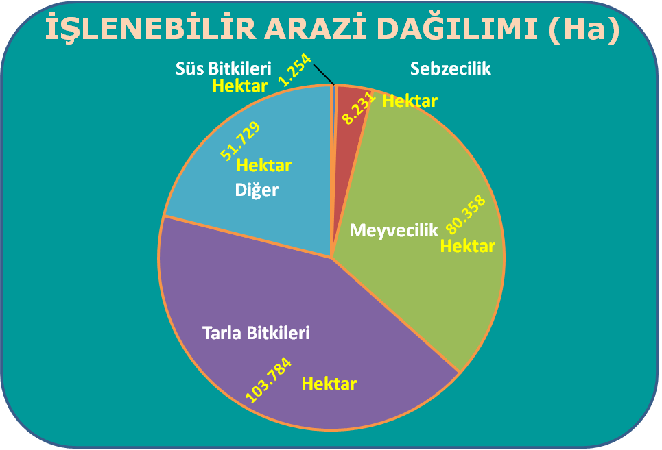 ARAZİLERİNİN DAĞILIM: Tarım Alanlarının Dağılımı Hektar % Tarla Arazisi 103.784 42,3 Sebze Arazisi 8.231 3,3 Meyve Arazisi 6.832 2,7 Fındık 72.000 29.0 Bağ 3.966 1,6 Zeytin 478 0,2 Kavak 10.