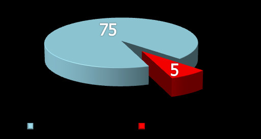 DESTEK HİZMETLERİ MOBESE Grafik 8 : Türkiye Geneli İl Merkezleri Mobese Durumu 2010 yılı sonu itibariyle 75 il merkezi ile 33 büyük ilçemizde MOBESE kurulum faaliyetleri tamamlanarak hizmete