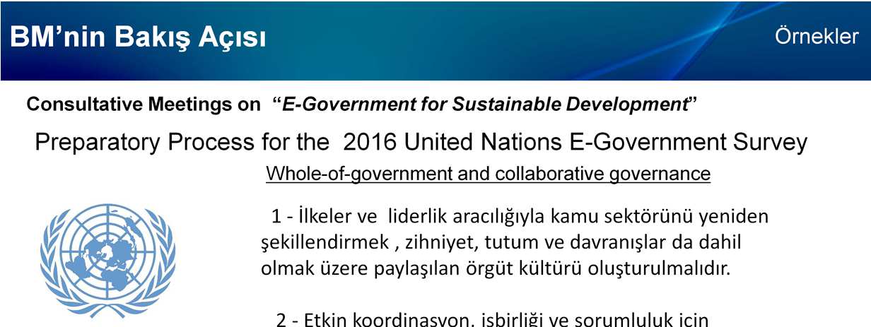 Whole of Government kavramı Birleşmiş Milletler in gündeminde olup uluslararası toplantılarında