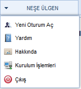 Yukarıda belirtilen bu altı temel unsurun yanısıra; Ana ekranın sağ üstünde; Sisteme giriş yapan kullanıcının Adı ve Soyadı bilgileri Yeni Oturum Açma: Kullanıcının açık olan oturumu kapatarak