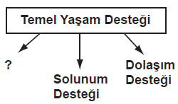 17 01.Bir trafik kazası sonucunda yaralanan kazazedenin durumunun ağırlığını ve ciddiyetini gösteren bulgulardan biride bilinç düzeyidir. Aşağıdakilerden hangisi 1.