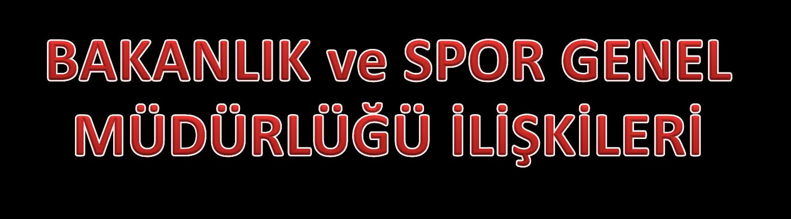 Temsil edilme gerekliliği olan bütün toplantı ve törenlere katılarak Türkiye Briç Federasyonu olarak temsil görevi eksiksiz bir şekilde yerine getirilmiştir.