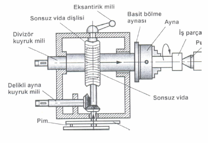 7 Şekil 2.3 :Divizörün kısımları Divizörün hareket iletiminde iki ana unsur vardır. 1.