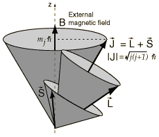 14 Problemin çözümü için korunumlu bir nicelik olan J = L + S (1.1.38) toplam açısal momentumu tanımlayabiliriz.