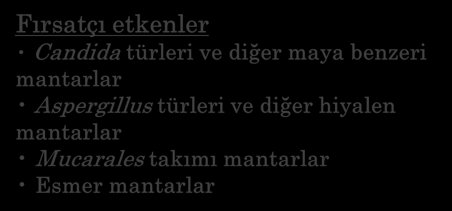 MANTARLAR Doğada yaygın olarak bulunan, çoğu saprofit organizmalardır Yüzeyel enfeksiyonlar Dermatofitler Candida türleri İnvazif enfeksiyonlar Endemik etkenler Histoplasma capsulatum Blastomyces