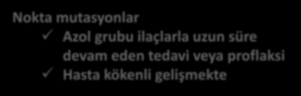 Cyp51A Nokta Mutasyonu Değişen kodonlar Minimal İnhibitör Konsantrasyon (µg/ml) İtrakonazol Vorikonazol Pasokonazol G54E >8