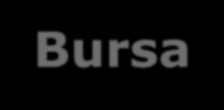 Bursa