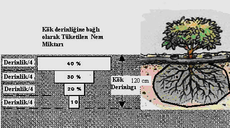 BÖLÜM 4. Doç. Dr.