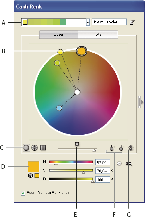 ILLUSTRATOR CS3 114 A. Uyum Kuralı menüsünde görüntülenen temel renk B. Renk tekerleğinde görüntülenen temel renk C. Renk görüntüleme seçenekleri D.