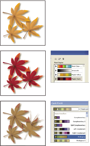 ILLUSTRATOR CS3 118 Orijinal resim renkleri (üstte), Renk Grupları listesinden renk grubu seçerek yeni renkler atama (ortada) ve Uyum Kuralı menüsünü kullanıp yeni renk grubu oluşturarak yeni renkler