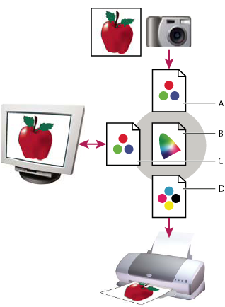 ILLUSTRATOR CS3 138 Girdi aygıtı profilleri Girdi aygıtının hangi renkleri yakalayabileceğini veya tarayabileceğini tanımlar.