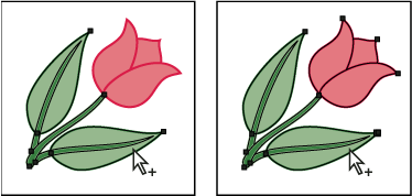 ILLUSTRATOR CS3 194 Üçüncü tıklatma, seçime sonraki grubu ekler (solda); dördüncü tıklatma, üçüncü grubu ekler (sağda).