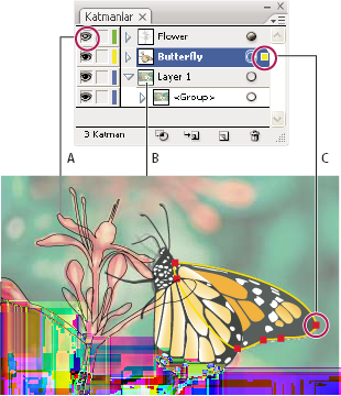 ILLUSTRATOR CS3 205 Katmanlar paneli A. Görünürlük sütunu B. Düzenleme sütunu C. Hedef sütunu D. Seçim sütunu Katmanlar panelinde, listenin solunda ve sağında sütunlar vardır.