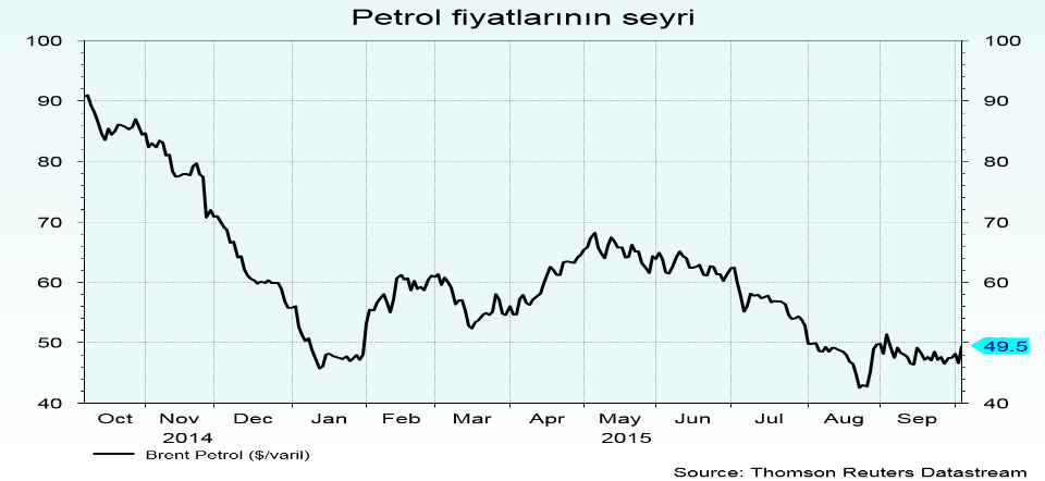 Ocak ayında son 6 yılın en düşük seviyesini gördükten sonra Haziran ayına kadar yükseliş trendine giren petrol fiyatları tekrar düşüşe geçmiştir.