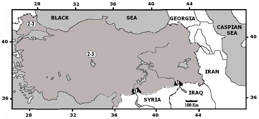 Rattus norvegicus dağılım