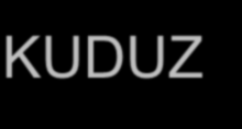 KUDUZ Kuduz yönünden sürekli risk oluşturan işlerde çalışan kişilerde temas öncesi profilaksi, Şüpheli ısırık/temas durumlarında ise temas