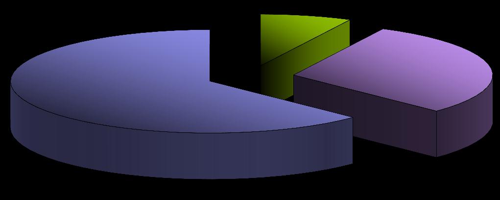 838,19 7,42% 29,88% 62,7% 2008 YILI 2009 YILI 2010 YILI Olumlu faaliyet dönemi üç yılın toplamı içersinde oranlandığın da 2008 %7,42, 2009 % 29,88, 2010 %62,7 olarak görülmektedir.