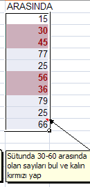 27 ġekildeki çıktı açıkça görülmektedir. Peki koģullu biçimlendirilen hücrelerdeki kural nasıl iptal edilir?(derste anlatılmıģtır.) 2.