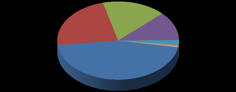 Hidrolik ; 32,4% Linyit ; 15,4% Doğal Gaz ; 32,4% İthal Kömür + Taş Kömürü + Asfaltit; 8,2% Çok Yakıtlı ; 5,6% Rüzgâr; 3,3% Sıvı Yakıtlar ; 2,3% Yenilenebil ir + Atık ; 0,2% Jeotermal; 0,2% Şekil 3.