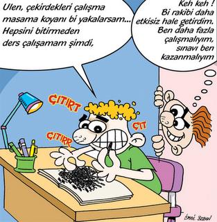 Program Nedir?